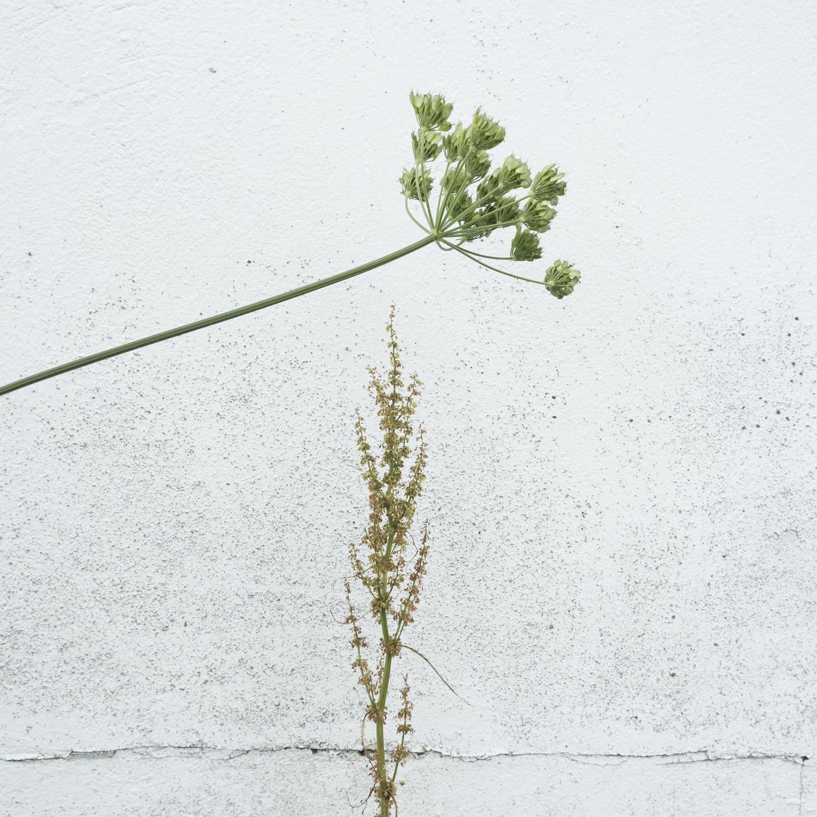 Six sustainability practices we follow