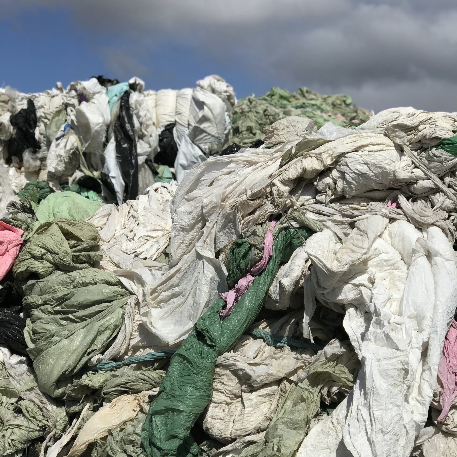 Empowering sustainability